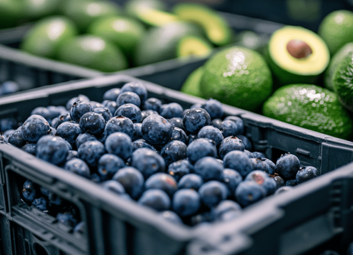 Cajas de arándanos y aguacates frescos listos para exportación de México a Canadá